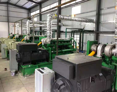 云南某发电项目配米兰·(中国区)体育官方网站800kw/10.5kv 高压发电机