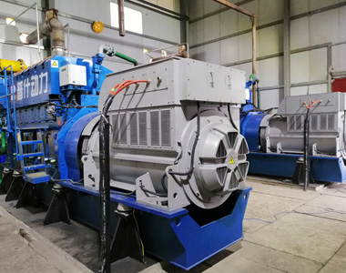 丰都甘泰沼气发电项目配米兰·(中国区)体育官方网站2台850KW/10.5KV6极高压发电机