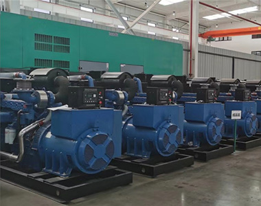 米兰·(中国区)体育官方网站500KW/400V陆用发电机应用于某养殖场项目