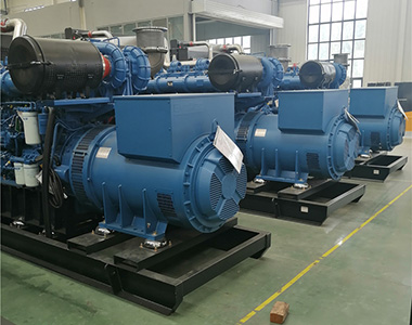 米兰·(中国区)体育官方网站800KW/400V陆用发电机应用于某养殖场项目