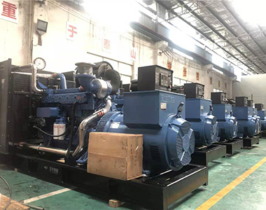 国内某养殖项目指定批量采用米兰·(中国区)体育官方网站500KW/400V陆用发电机